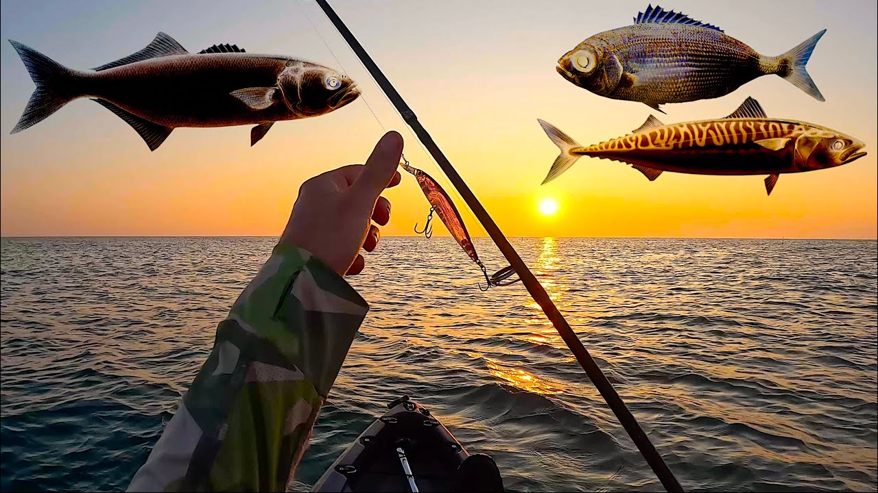 SUPER Pescata con il Kayak in Mare! Spinning e Traina con Esche Artificiali: Quattro Specie Diverse