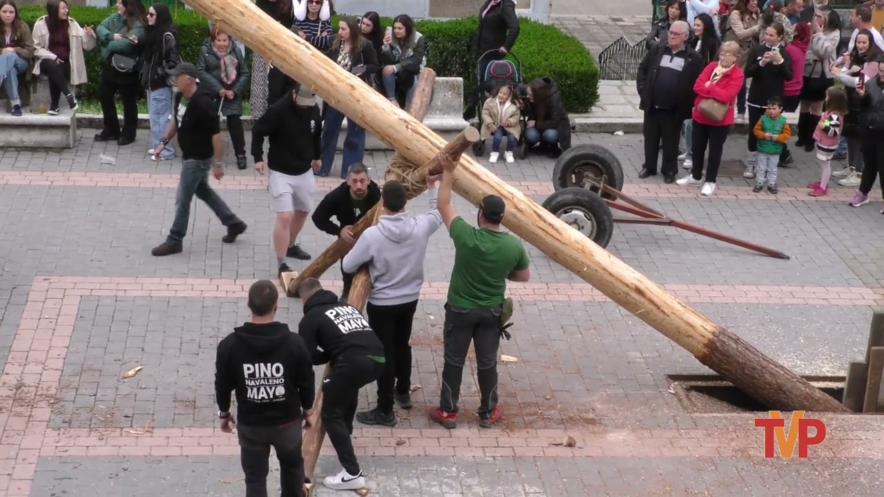 Pingada del Mayo - Navaleno 2025
