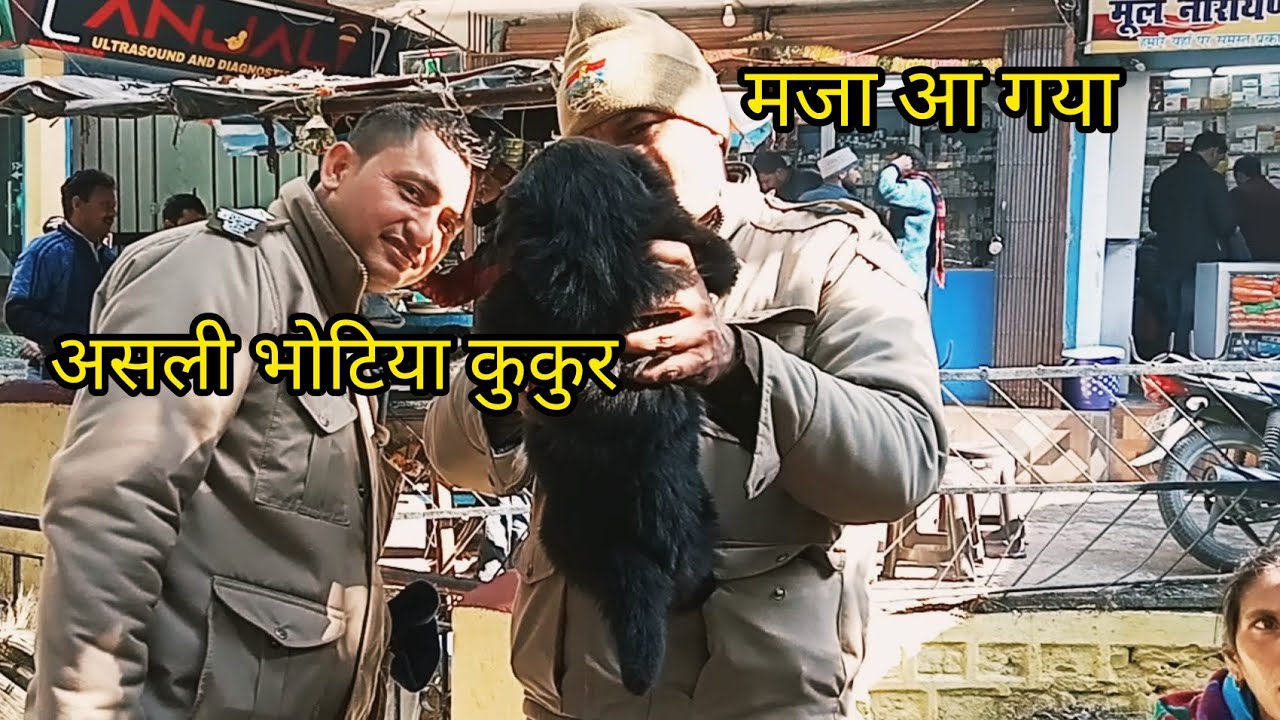 Bhotiya kutta Market उत्तरायणी की शान || Uttarayani Mela Bageshwar