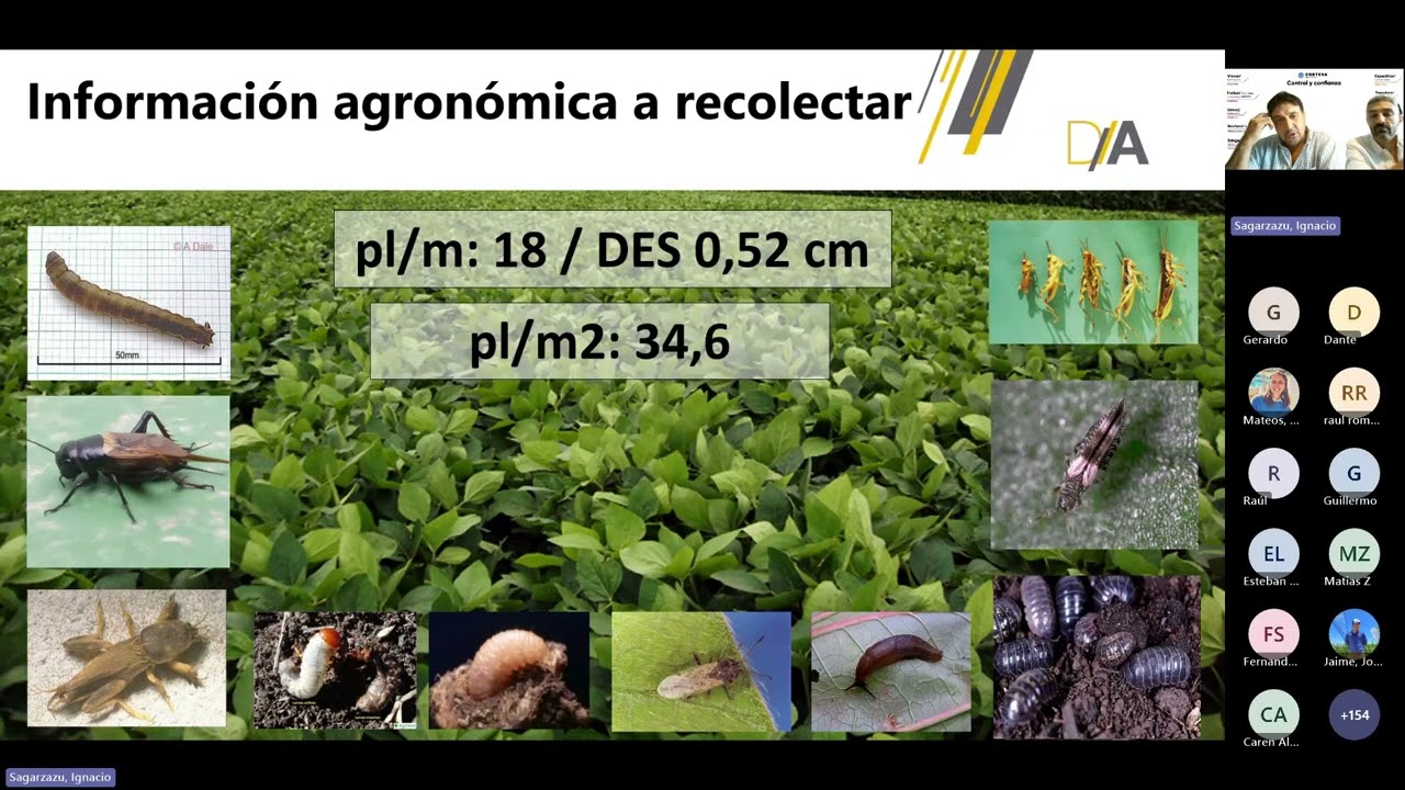 FLASH⚡TÉCNICO con el Ing. Agr. Diego Alvarez: Insectos y Enfermedades en Soja: ¿Está para aplicar?
