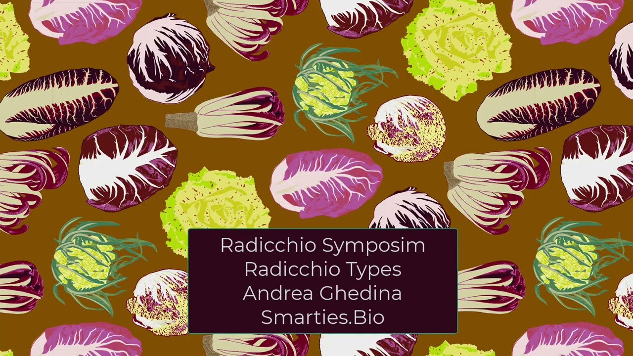 Radicchio Types