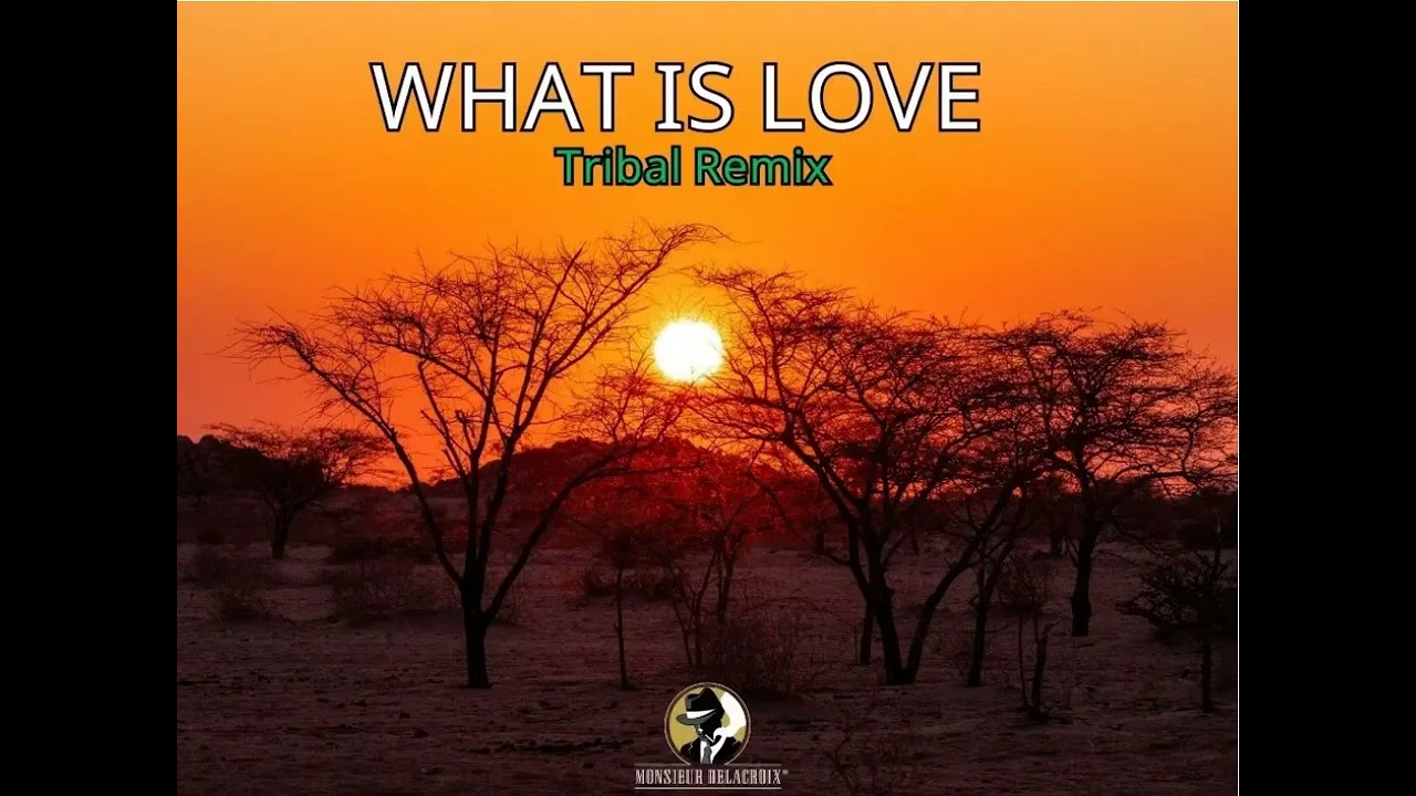 What is love (Tribal remix) - Monsieur Delacroix
