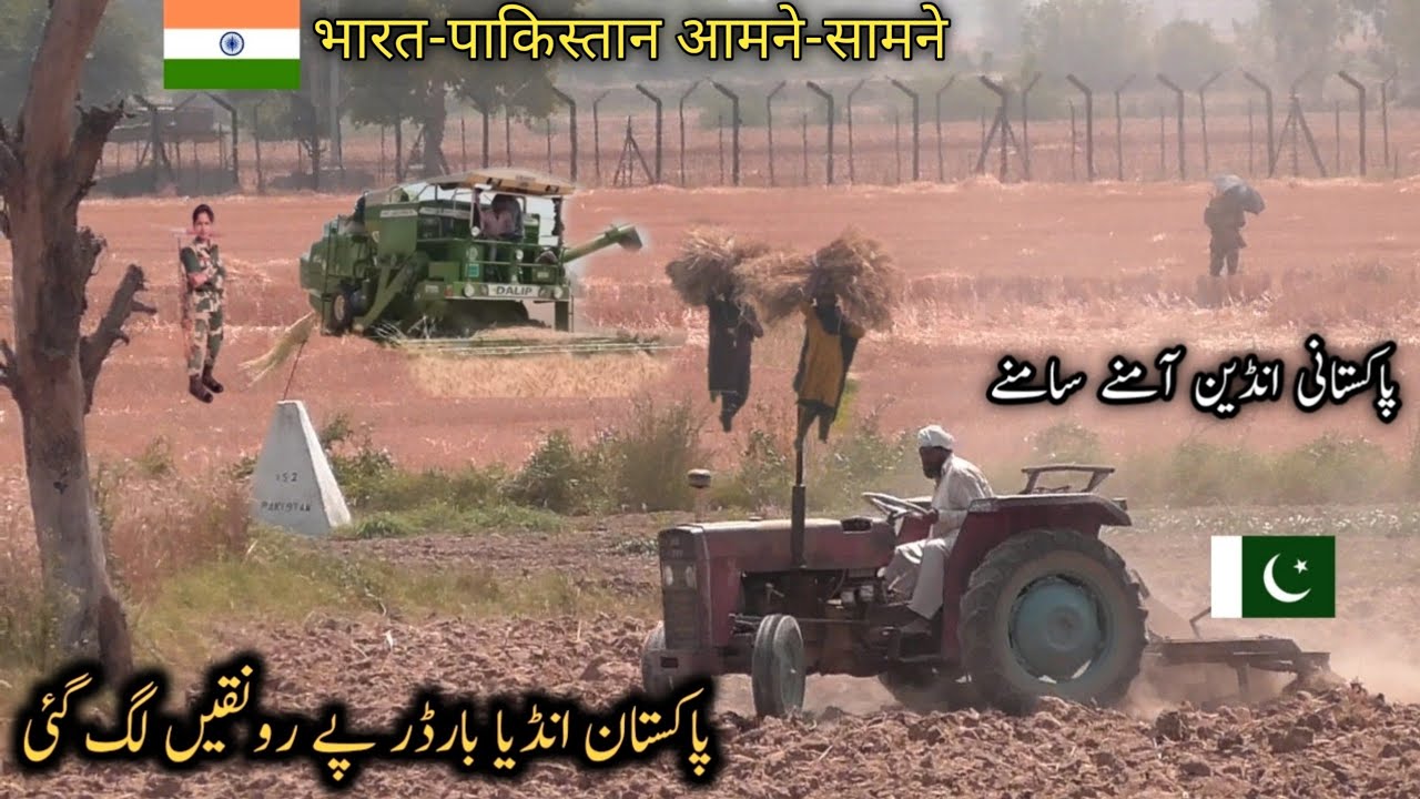 pakistan india border gandum ki katai I vlog2