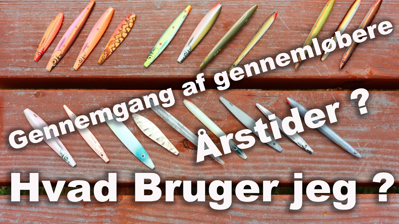 Endegrej 🎣 Gennemløbere 🐟 Havørred Fiskeri 👍