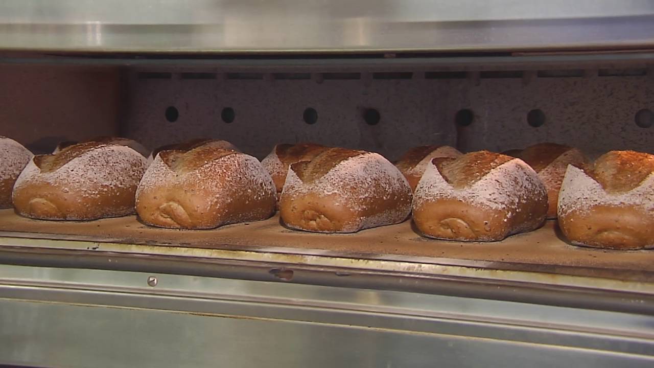 Kalmeijer broodlijn en deegverwerking