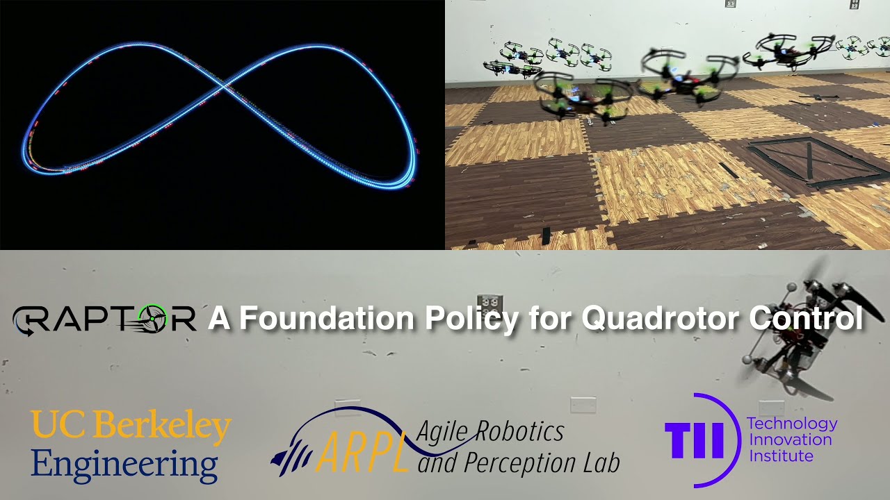 RAPTOR: A Foundation Policy for Quadrotor Control