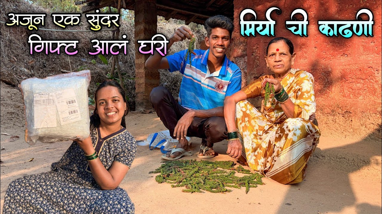 आरुश्रीसाठी आलं सरप्राईज गिफ्ट|आमच्या मिर्याच्या वेलीवर मिळाली खूप मिर्या