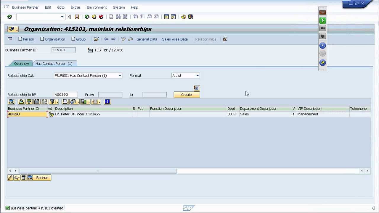SAP CRM  Business Partner (BP) Record