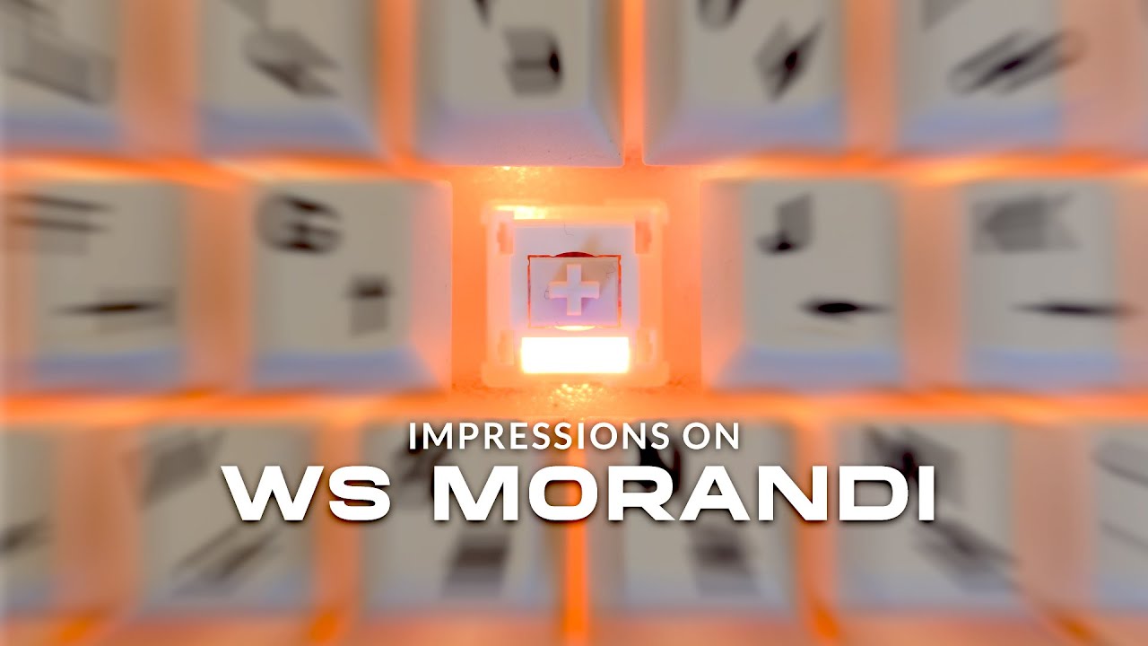 RGB Brrt! Brrt! | Impressions on WS Morandi