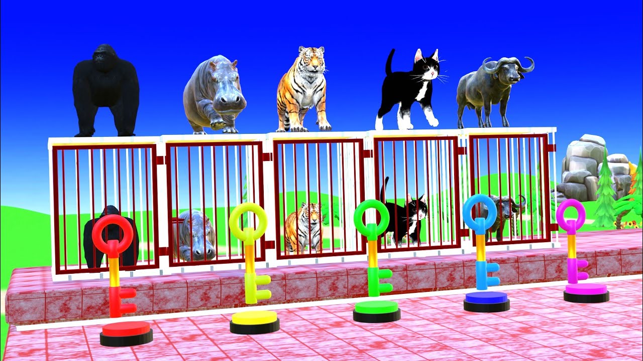 Longslidegame with gorilla vs hippopotamus  funny 3D race 