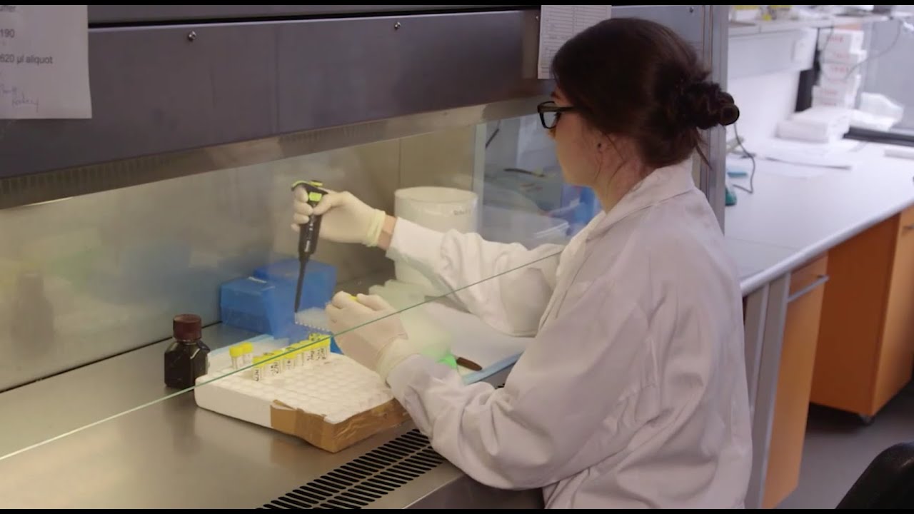 Responding to the Challenge of an Animal Disease Outbreak