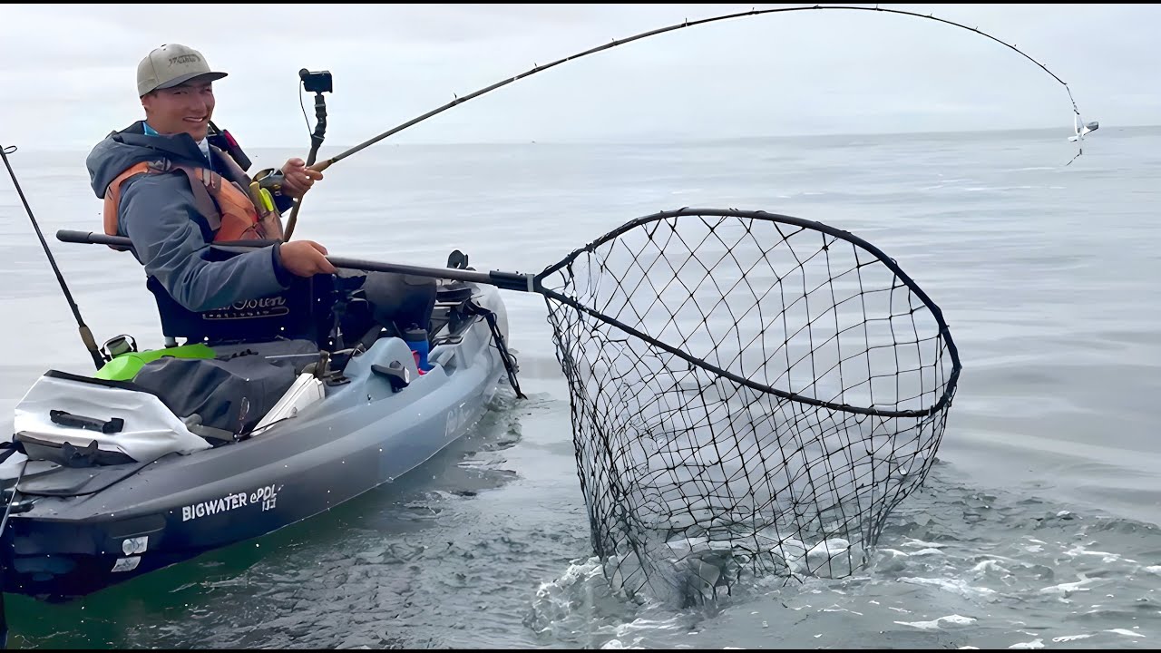 SALMON SEASON is BACK! (and so is the struggle)