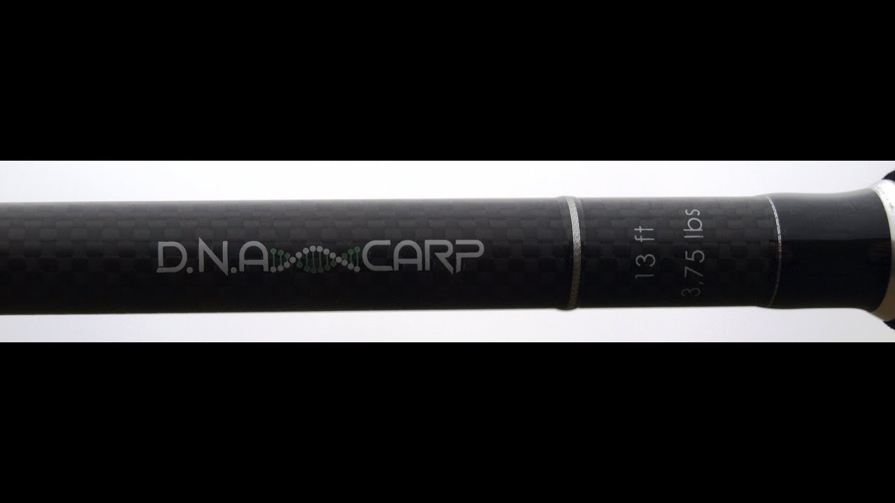 Sportex DNA Carp 13 3.75lb 2018NEW