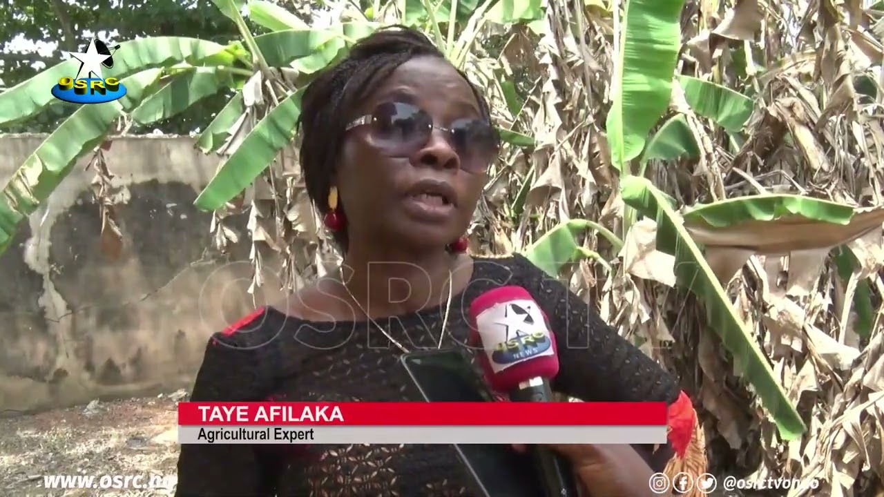 Experts Warn Farmers Against Early Planting Amid Uncertain Rains