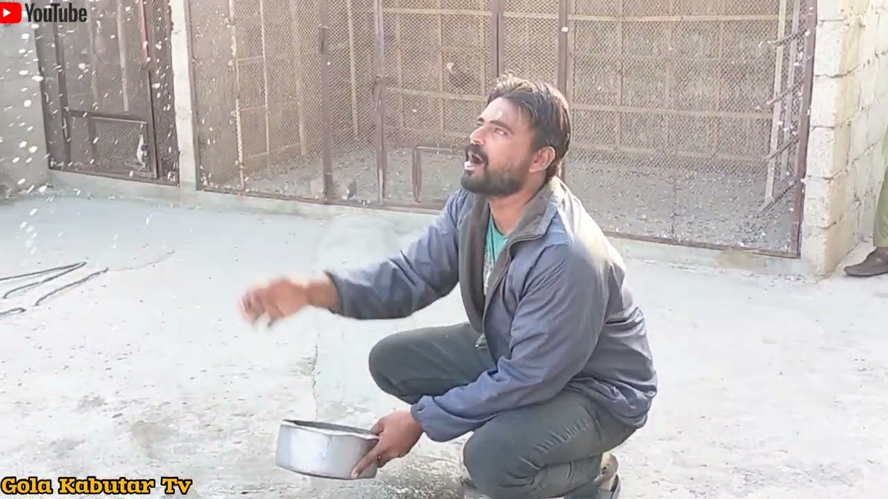 Shouq Ka 1st Day || 5 Kabutar Aye || Murtaza V/S Daniyal 200 Kabutar Ka Shouq 