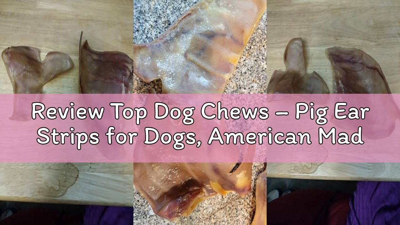 Review Top Dog Chews – Pig Ear Strips for Dogs, American Made, Single Ingredient, Thick, Large Dog T