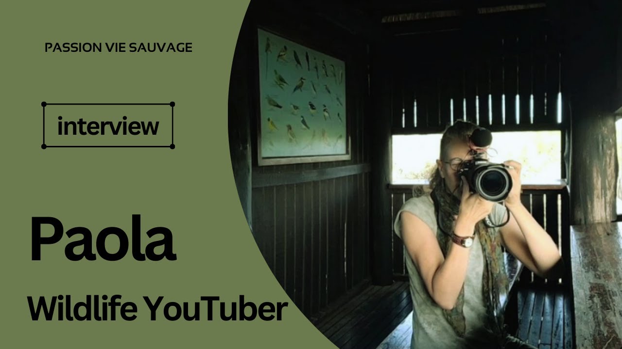 Rencontre avec une passionnée de vie sauvage: Paola, Wildlife YouTuber - Meeting a wildlife lover