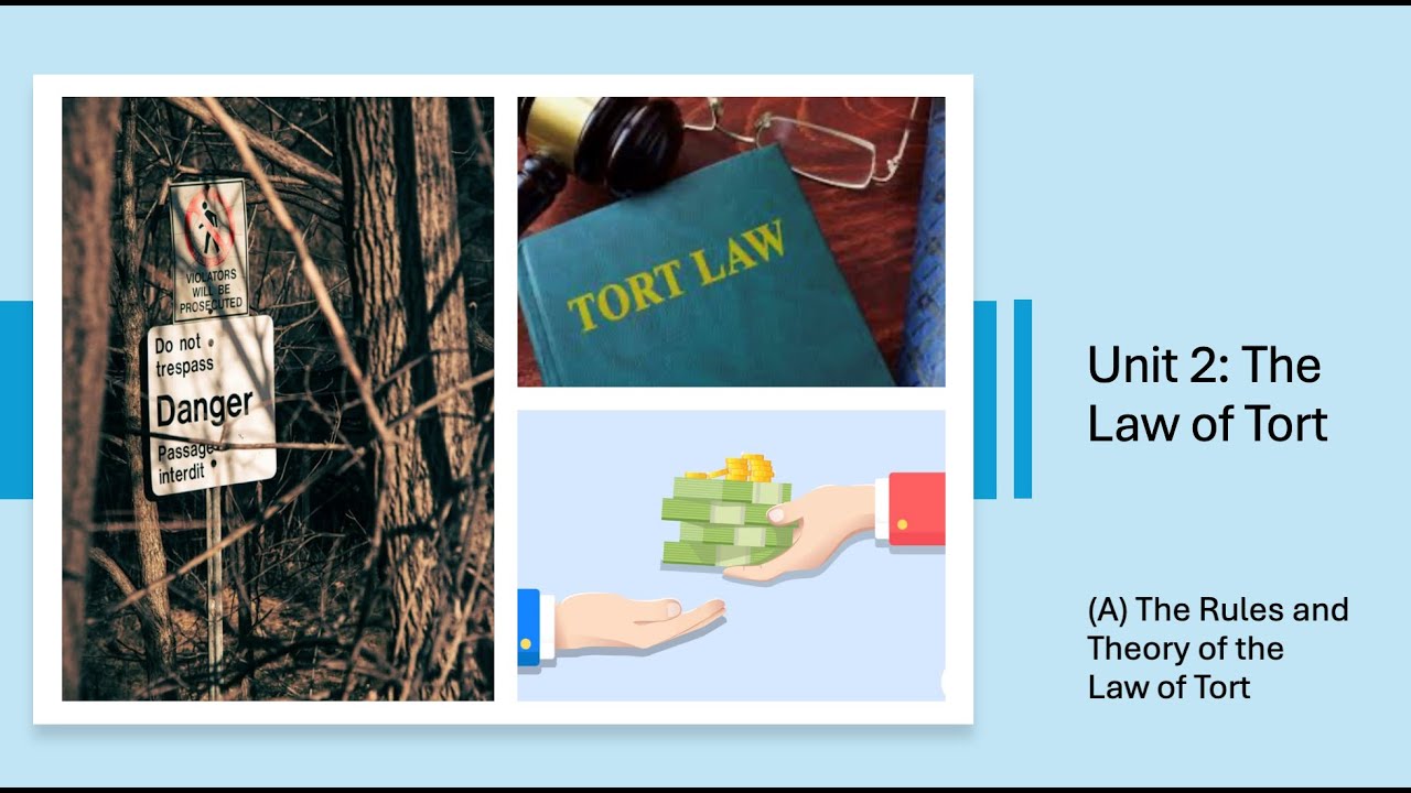 A-Level Law: The Law of Tort (A) The Rule and Theory of the Law of Tort