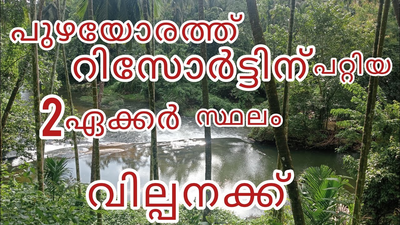 പുഴയോരത്ത് റിസോർട്ടിനു പറ്റിയ 2ഏക്കർ സ്ഥലം വില്പനക്ക് #palakkad #kalladikod