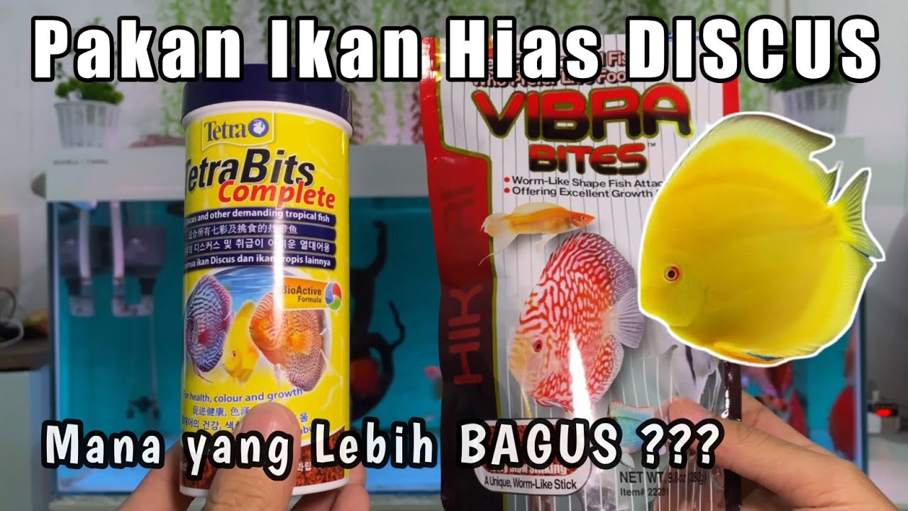 Pakan Ikan DISCUS TetraBits vs VIBRA Bites ‼️