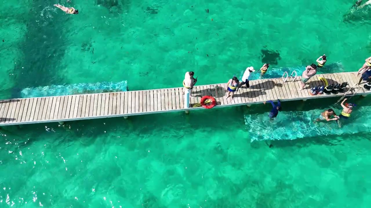 Dominican Republic, Punta Cana, Aquarium 1-3