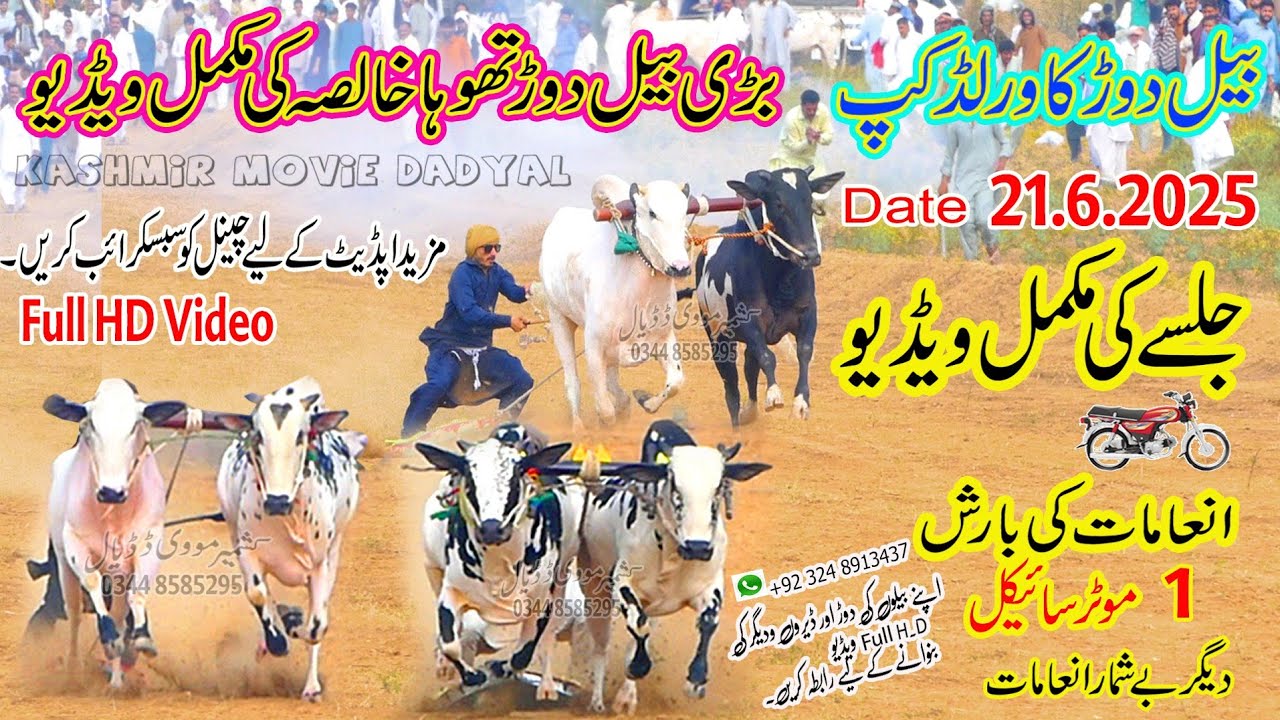 Bull Race Jalsa Thoha Khalsa | 21.6.2025 | بیل دوڑ تھوہا خالصہ کی مکمل ویڈیو | Bull Race HD