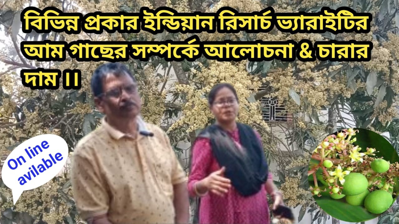 বিভিন্ন প্রকার ইন্ডিয়ান রিসার্চ ভ্যারাইটির আম গাছের সম্পর্কে আলোচনা & চারার দাম জেনে নিন ।।#plant