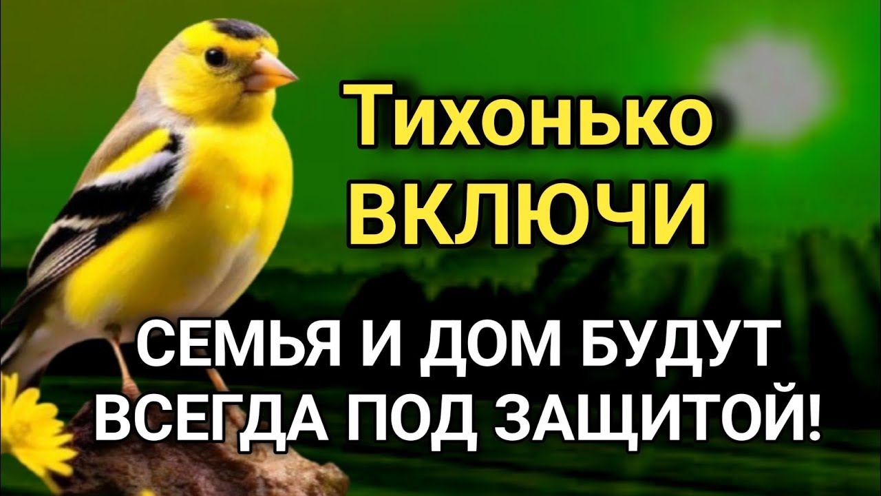 ВКЛЮЧИ И НЕ КОСНЁТСЯ БЕДА РОДНЫХ И ДОМА дуа Всевышнему Аллаху 🔊🤲✨🔑💯