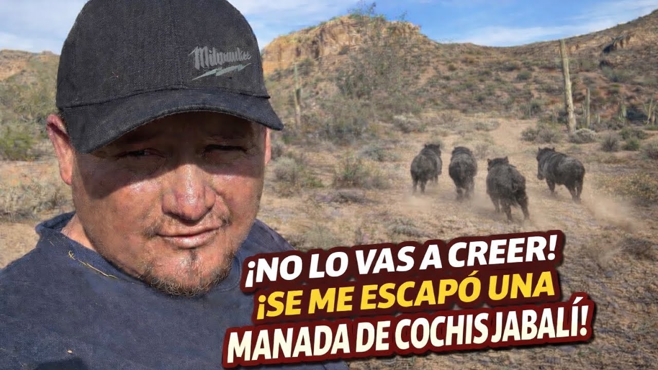 Se DEJÓ VENIR LO QUE TANTO TEMÍAMOS 🥵