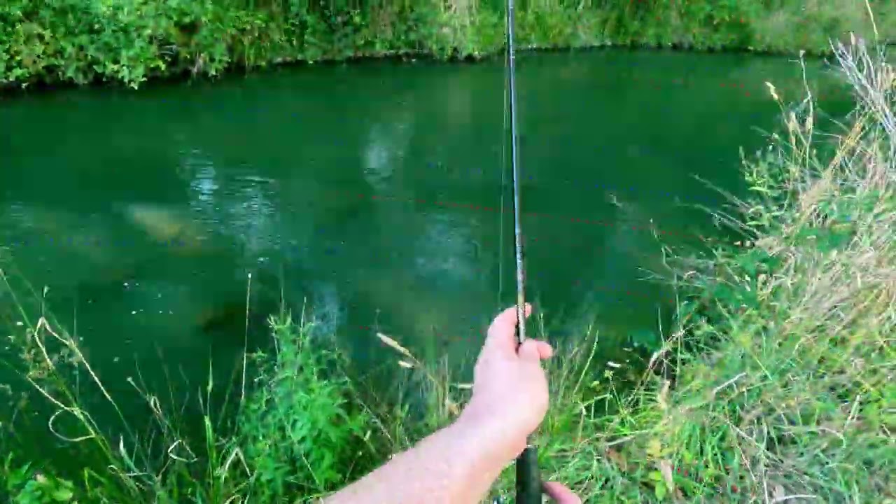 Part 2)Trout Fishing a small stream 12/2/26 (apologies for graininess)