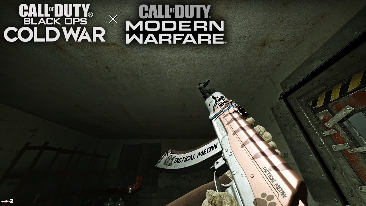 Left 4 Dead 2 Cat Nip AK-47 Black Ops Cold War using Modern Warfare 2019 Anim - Oguzhan - Gameplay