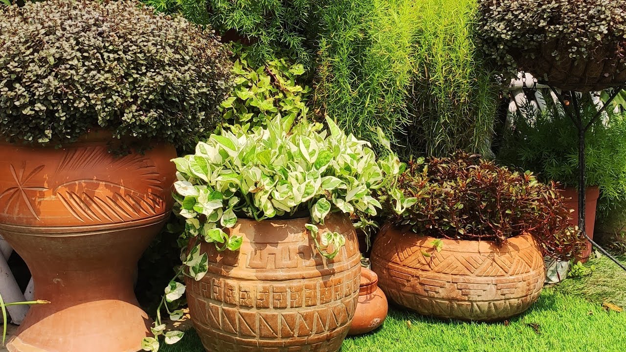 GARDEN ME YEH KUCH CHANGE KIYA HAI II MYLILGARDEN II PART 1