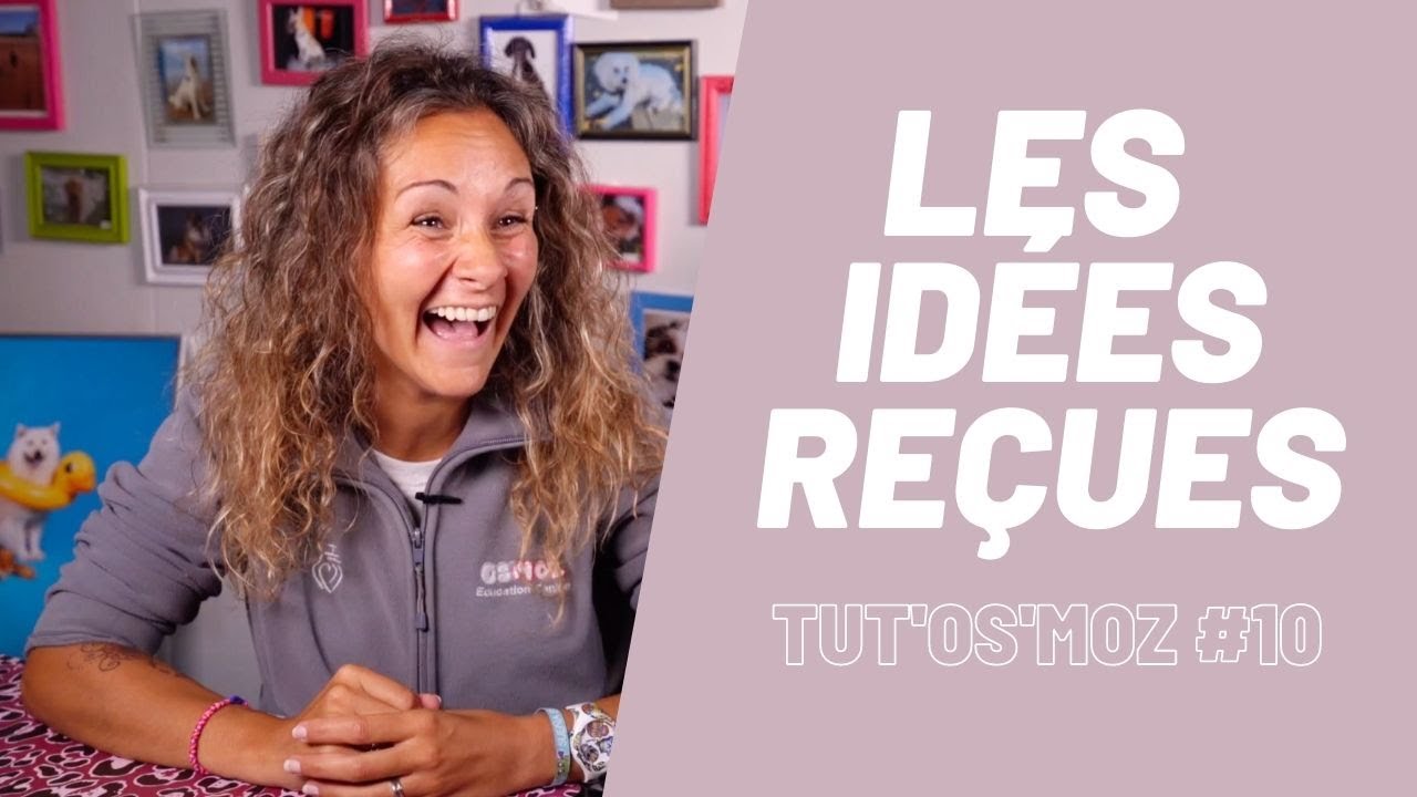 Chiens : Les idées reçues
