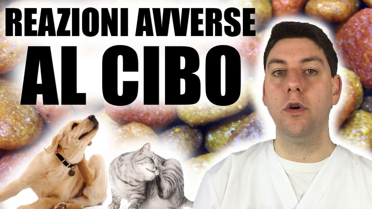 Reazioni Avverse al Cibo: quali sono e come si manifestano nel Cane e nel Gatto?