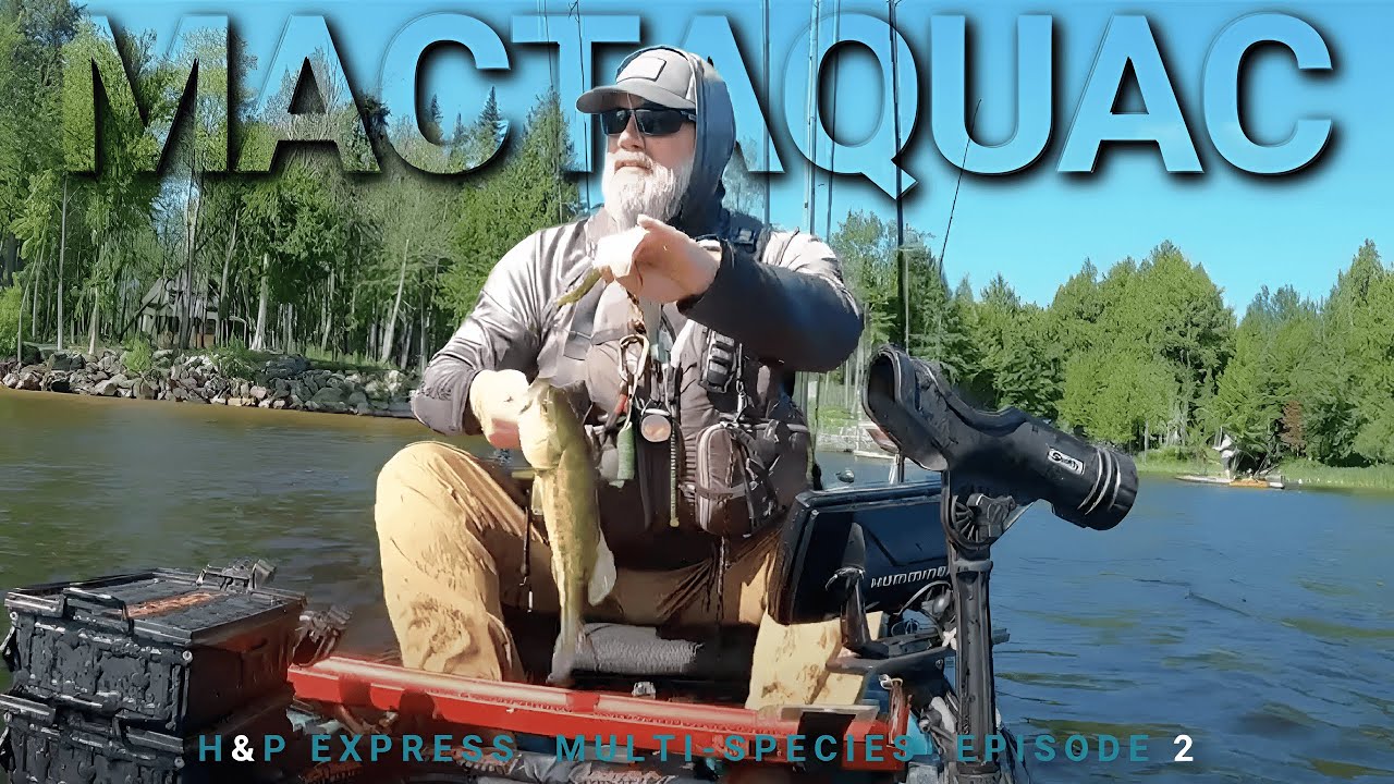 Multi-Species Showdown: Unbelievable Catches 🎣 | 2025 Hook & Paddle Express | Mactaquac, NB |  EP.02