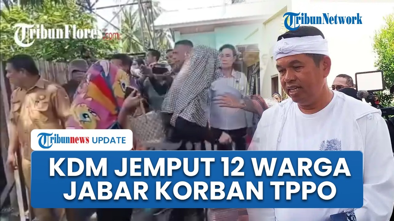 Terbang ke NTT, Dedi Mulyadi Jemput 12 Perempuan Warga Jabar Korban TPPO, Tegas Hukum Tetap Berjalan