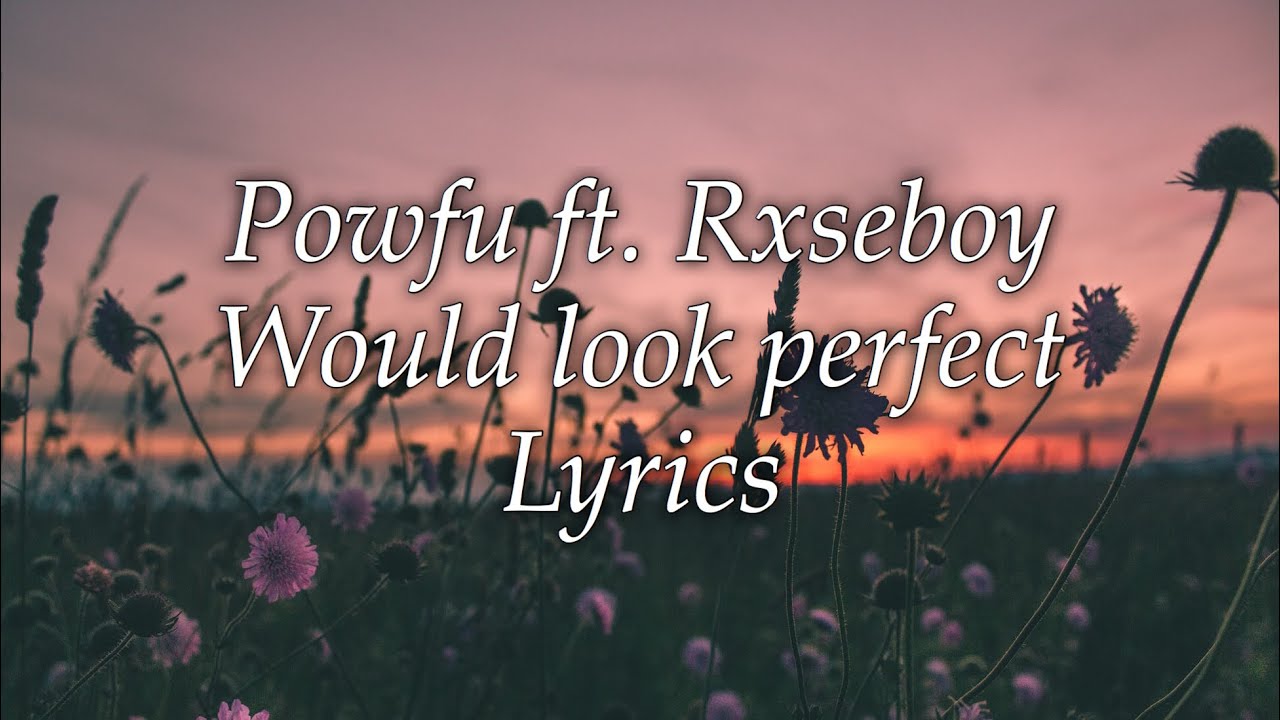 Powfu ft. Rxseboy - Would Look Perfect [lyrics]