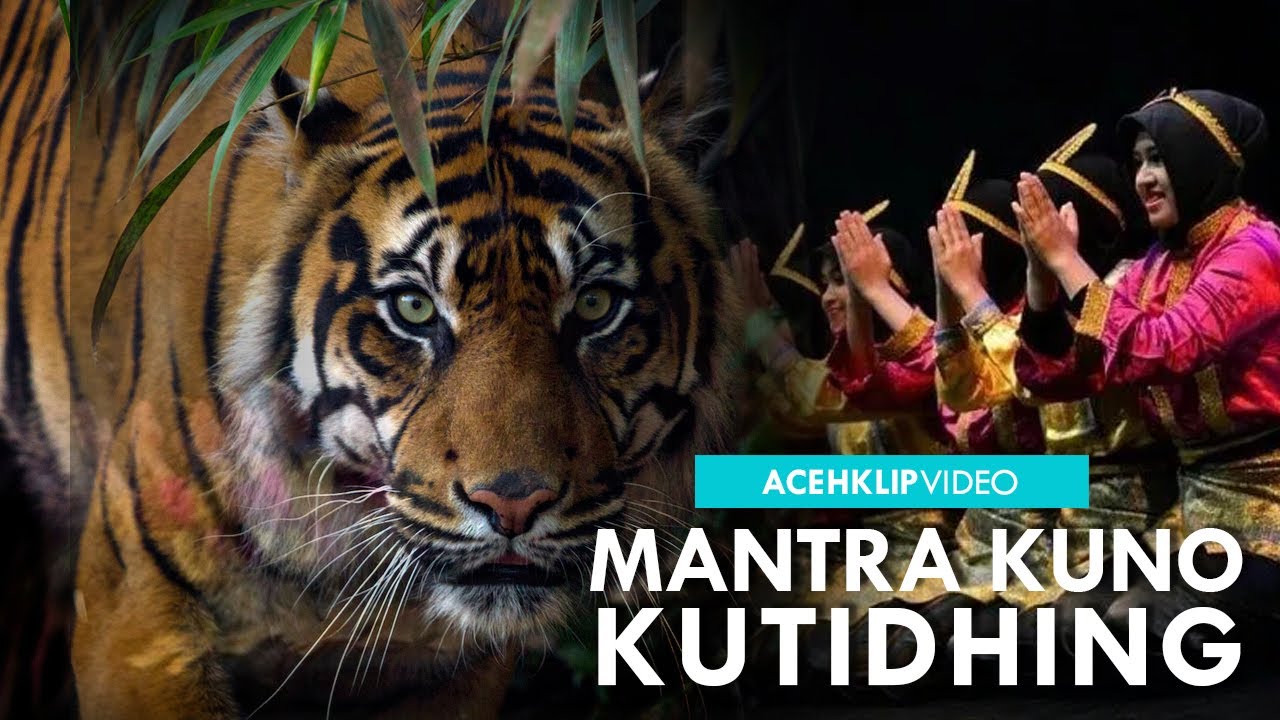 KUTIDHING ( REVIEW LIRIK DAN TERJEMAHAN ) ACEHKLIP