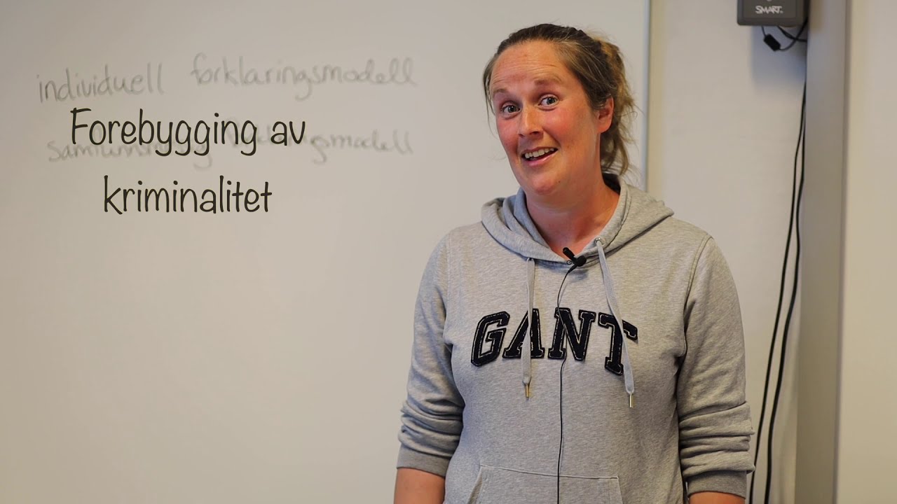 Forebygging av kriminalitet