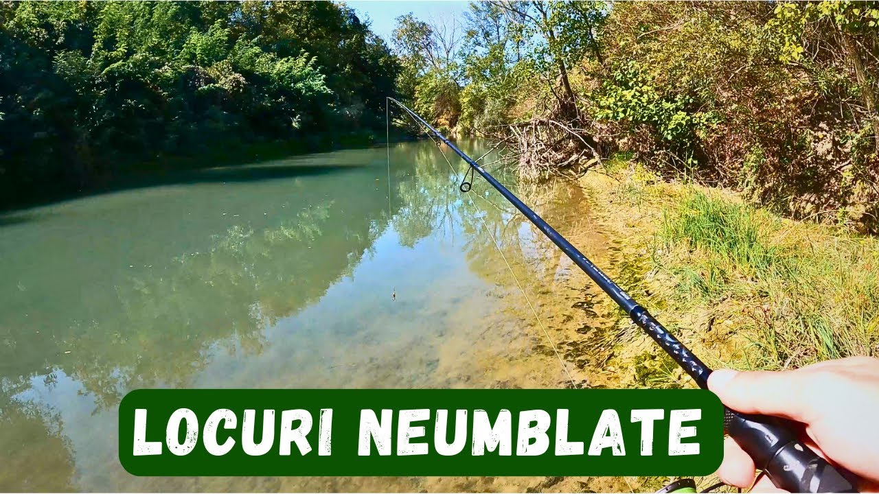 CLENI FRUMOSI pe PRAHOVA Salbatica (Explorare)