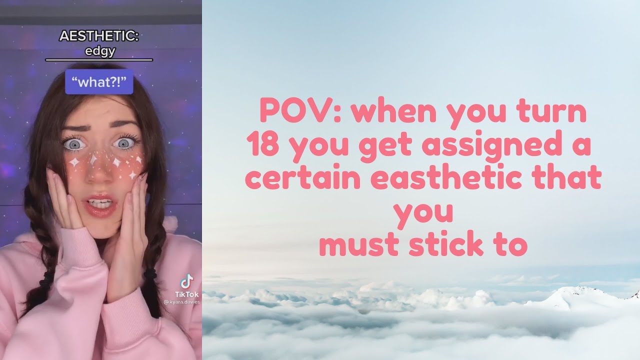 TIKTOK POVS that made the manager ask for Karen #1