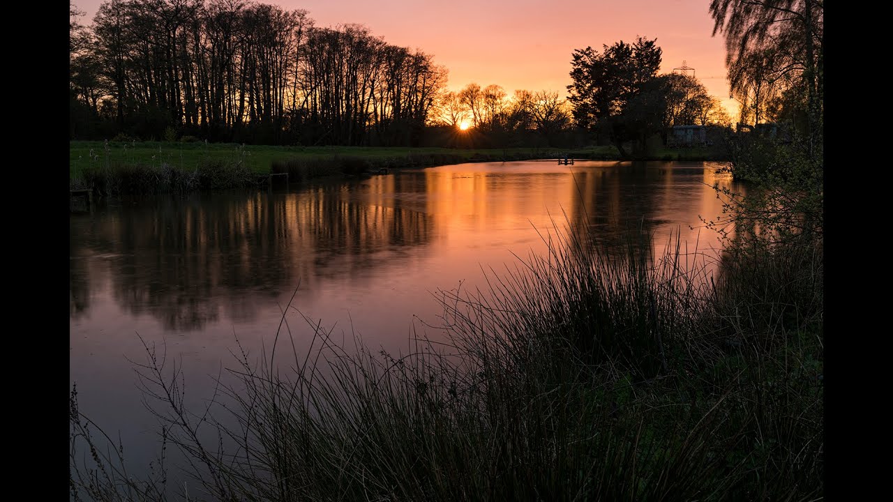 Whinwhistle Fishery and Campsite Outskirts of the New Forest