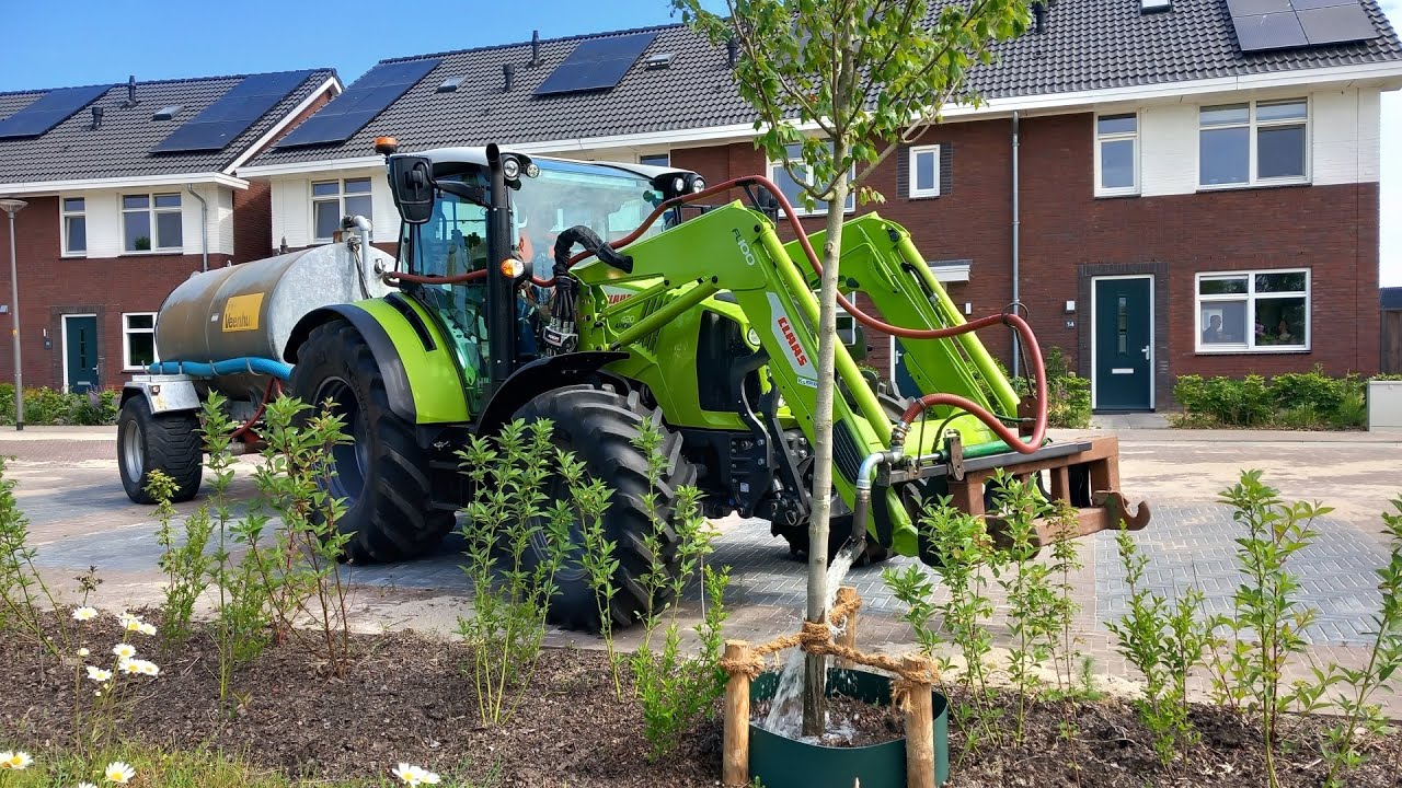 Watering trees