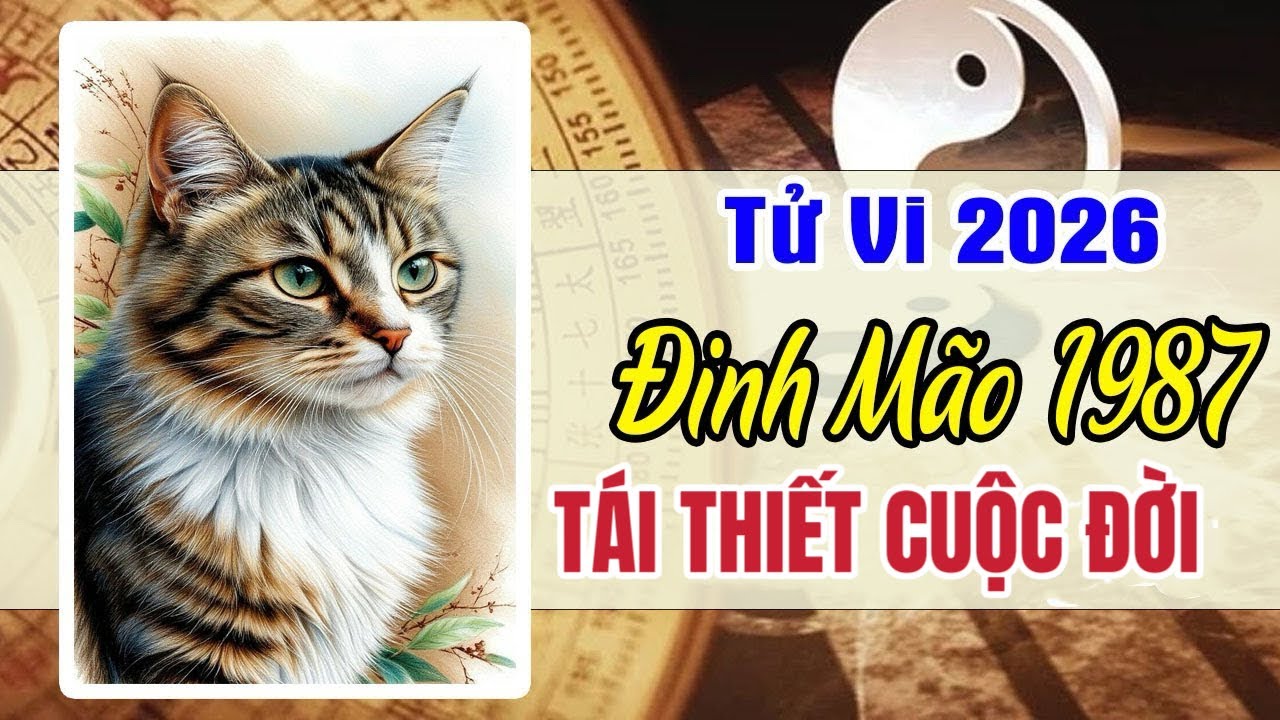 Đinh Mão 1987 – Năm 2026: Bước vào giai đoạn tái thiết cuộc đời