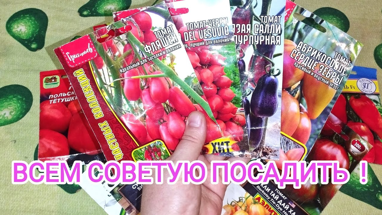 ЭТИ ТОМАТЫ САЖАТЬ ОДНОЗНАЧНО! ВОПРОС С ТЕПЛИЦАМИ РЕШЁН!