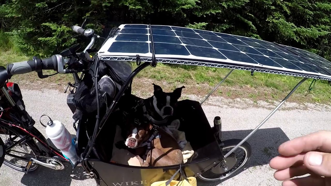E Bike Camping With 2 Dogs