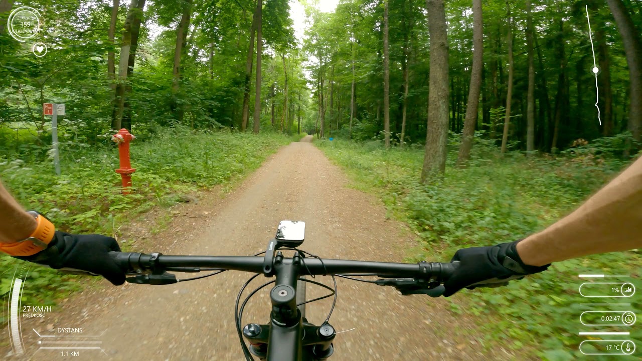 al. Wojska Polskiego - leśna ścieżka rowerowa (Las Miejski Olsztyn)