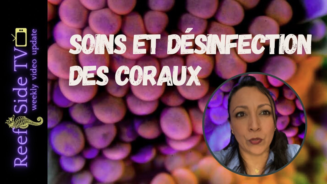 SOINS DES CORAUX  ET DÉSINFECTION