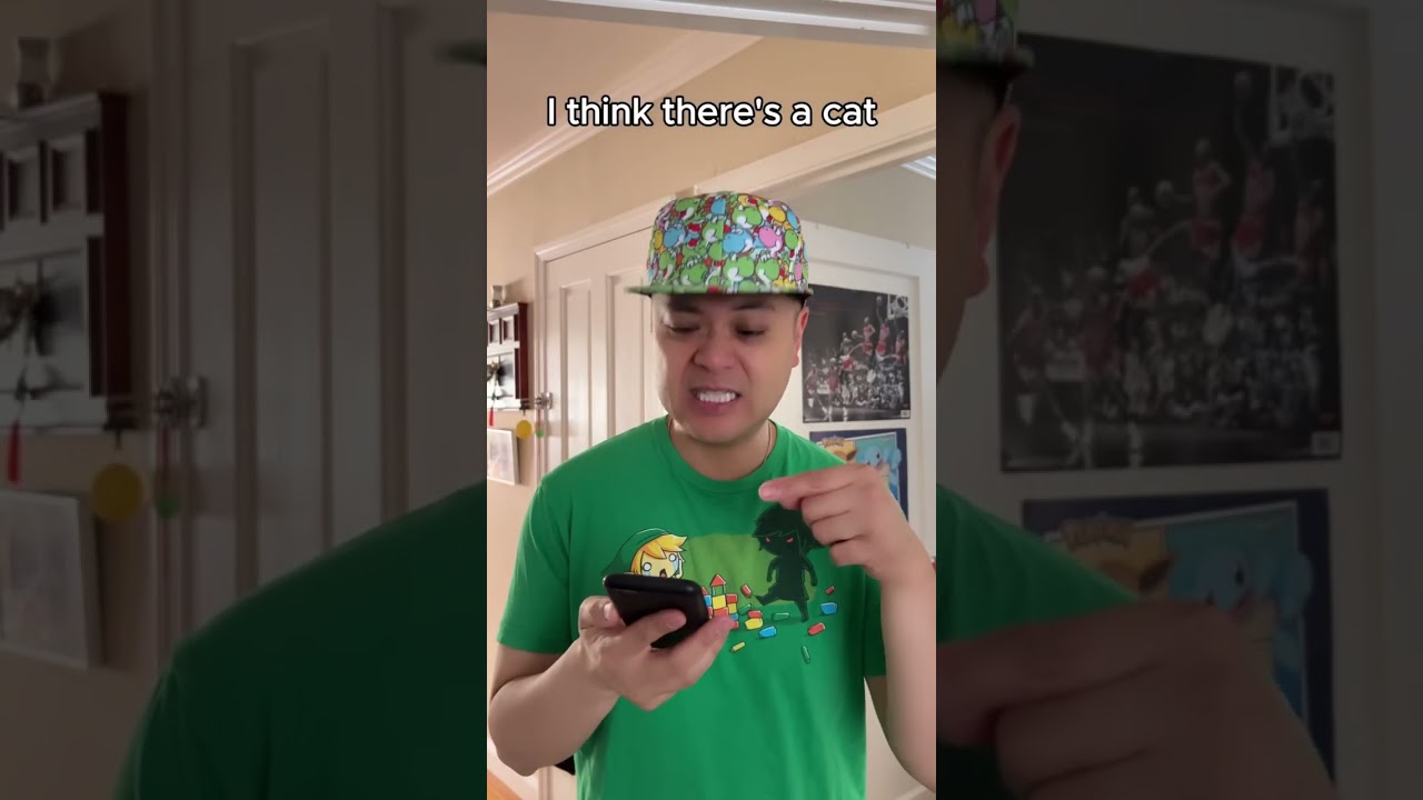 Strange Dancing Cat 🐈