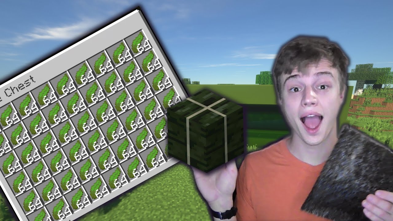 Kelp Farm in 1.17 EASY tutorial: NOT ugly, integrate into builds, Early Game XP